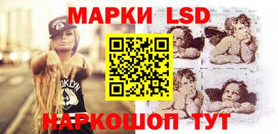 прущие грибы Ставрополь