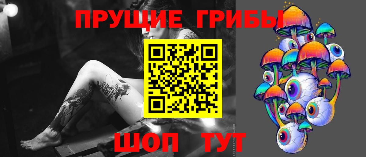 Миллерово  Псилоцибиновые грибы мухоморы  Вход с VPN  Псилоцибиновые грибы прущие грибы 